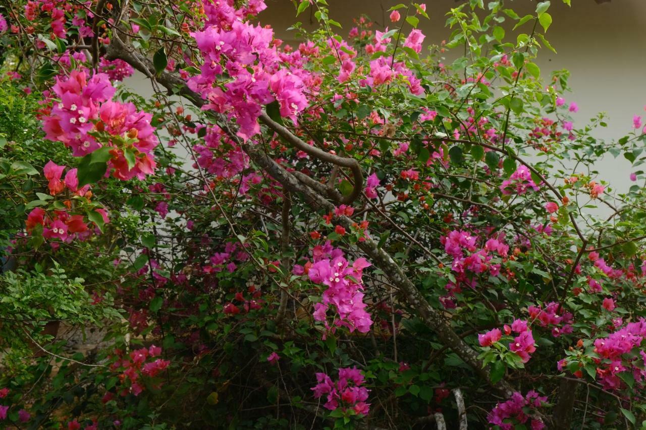 Magnolia Guesthouse Varkala Luaran gambar